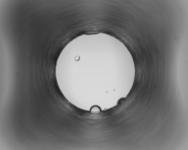 X0000115080236200911241148