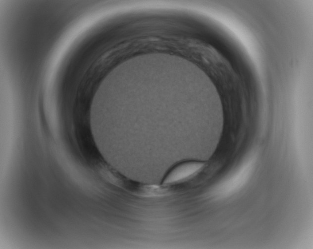 X0000115080239200911241148