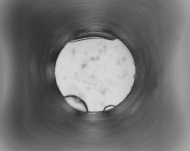 X0000115080240200911241148