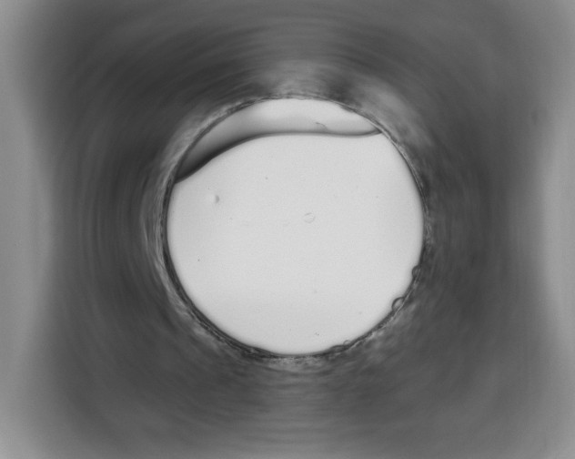 X0000115080241200911241148