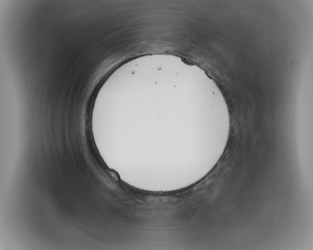 X0000115080242200911241148