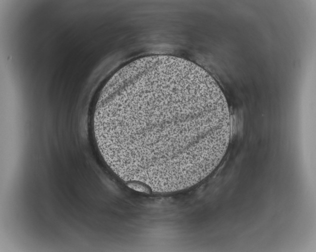 X0000115080243200911241148