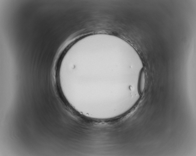 X0000115080246200911241148