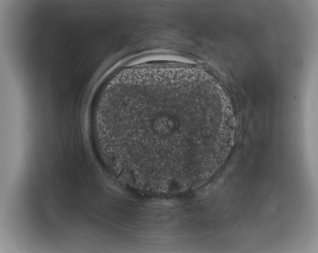 X0000115080247200911241148