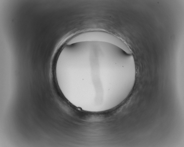 X0000115080248200911241148