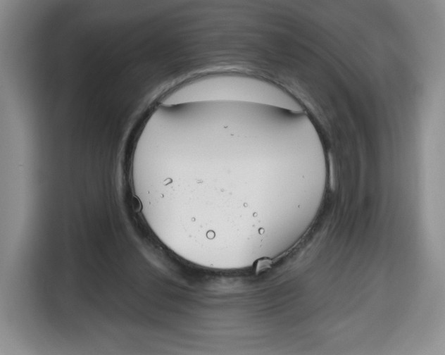 X0000115080252200911241148