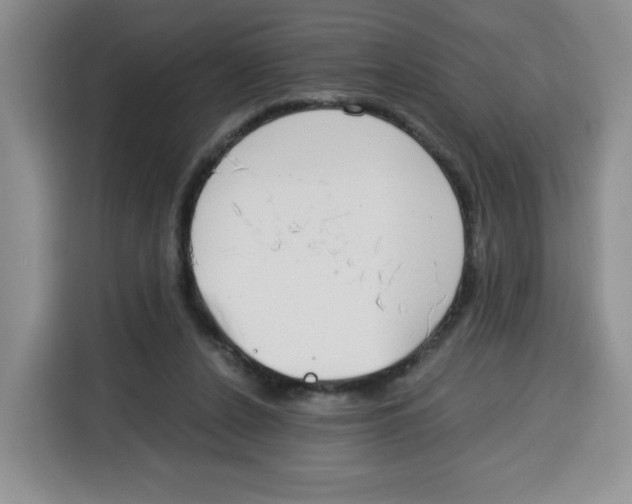 X0000115080256200911241148