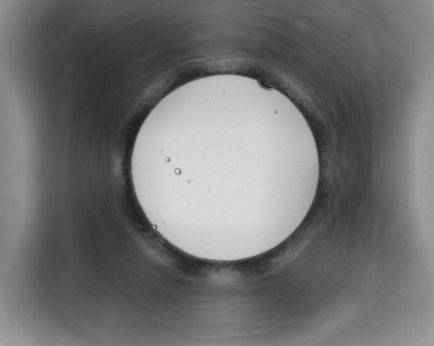 X0000115080258200911241148