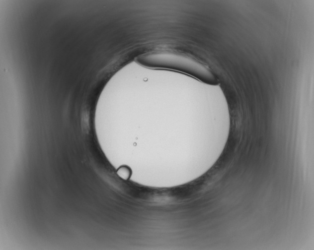 X0000115080262200911241148