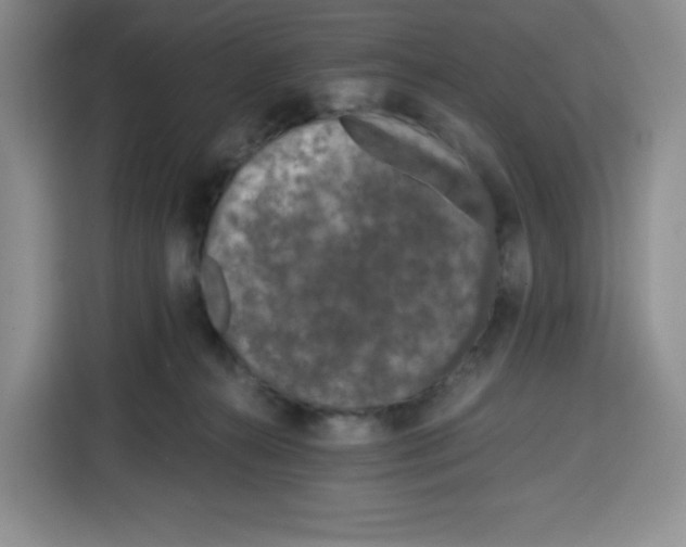 X0000115080272200911241148