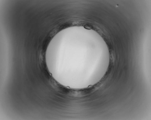 X0000115080276200911241148