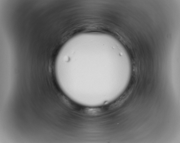 X0000115080277200911241148