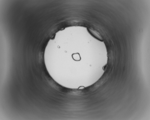 X0000115080278200911241148