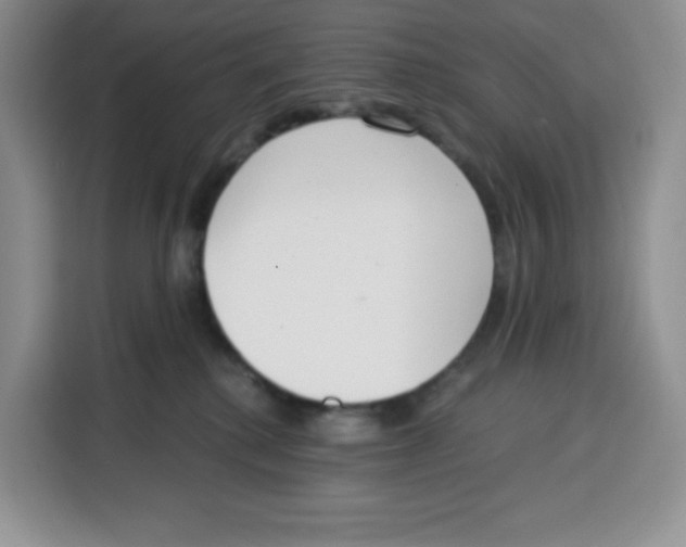 X0000115080280200911241148