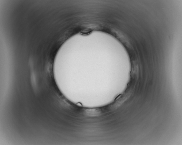 X0000115080281200911241148