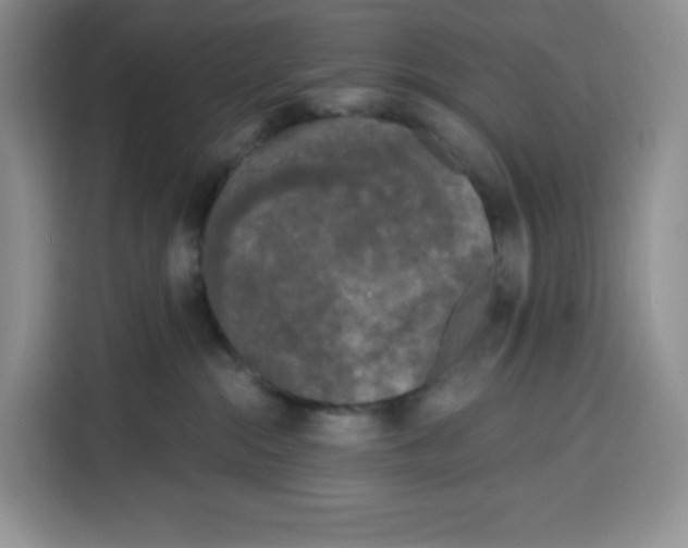 X0000115080284200911241148