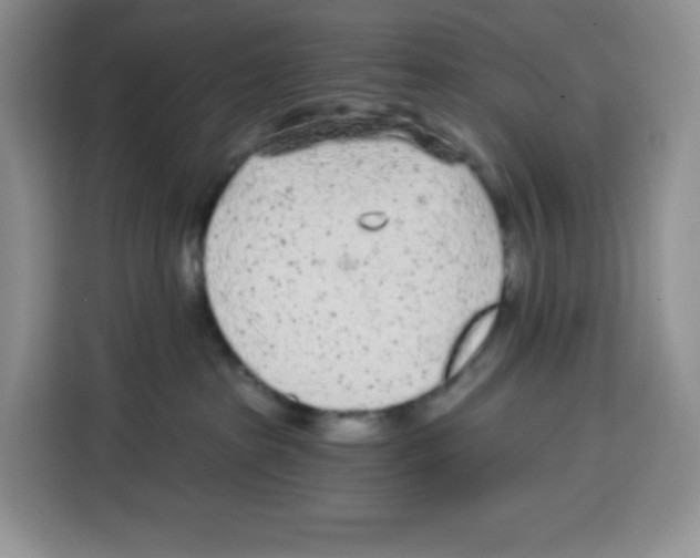 X0000115080285200911241148