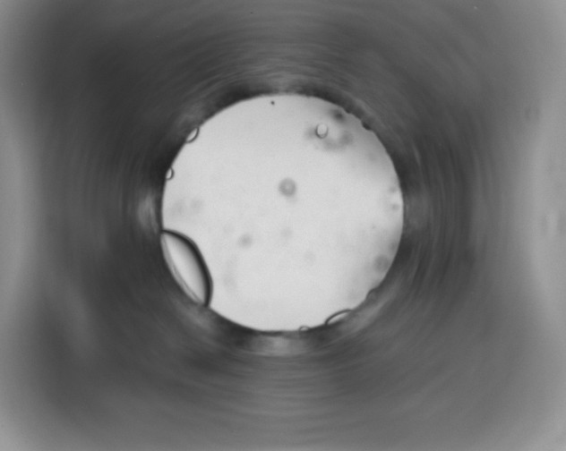 X0000115080286200911241148