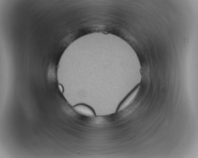 X0000115080287200911241148