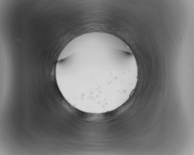 X0000115080288200911241148