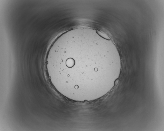 X0000115080289200911241147