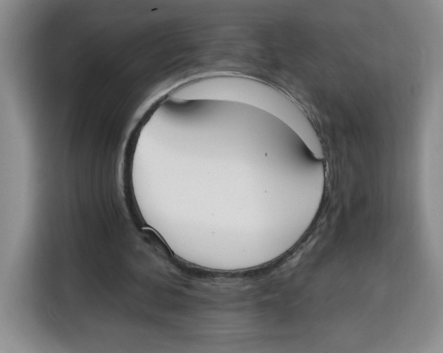 X0000115080292200911241147