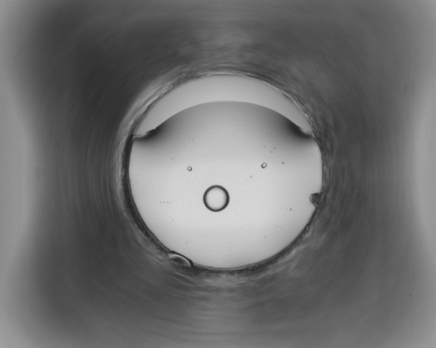 X0000115080293200911241147