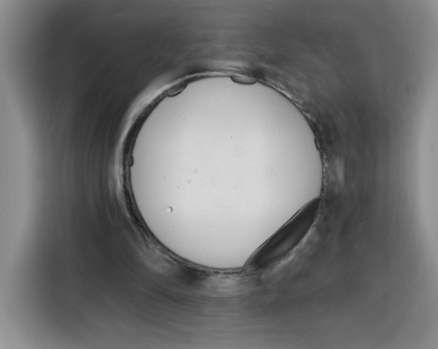 X0000115080294200911241147