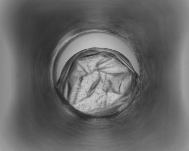 X0000115080296200911241147