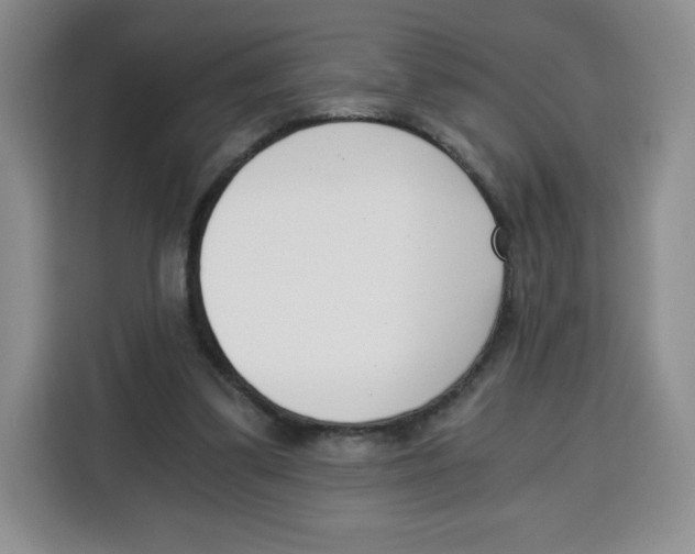 X0000115080299200911241147