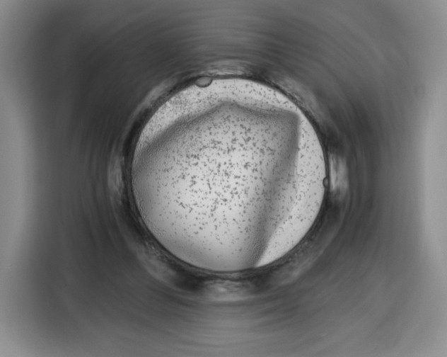 X0000115080300200911241147