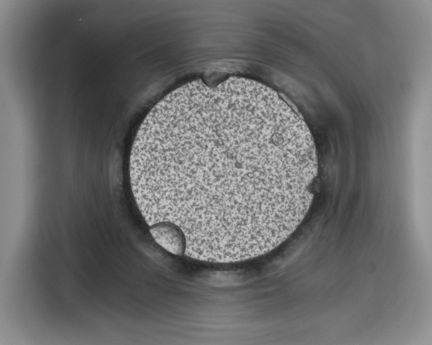 X0000115080303200911241147