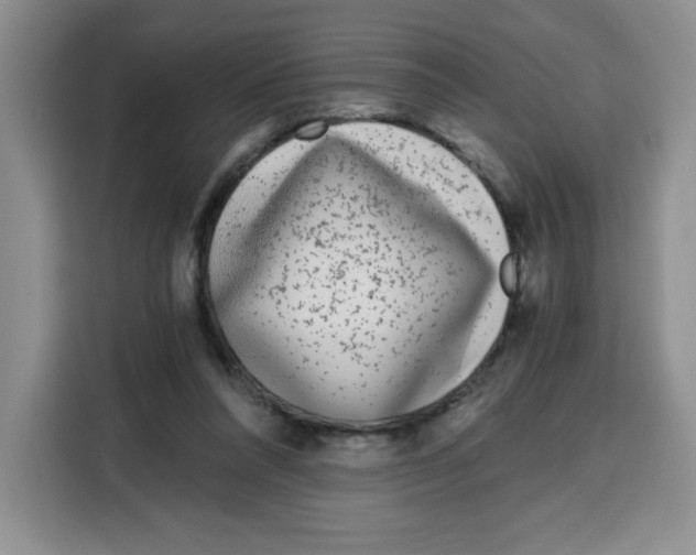 X0000115080304200911241147