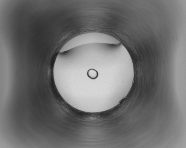 X0000115080308200911241147