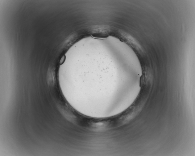 X0000115080312200911241147