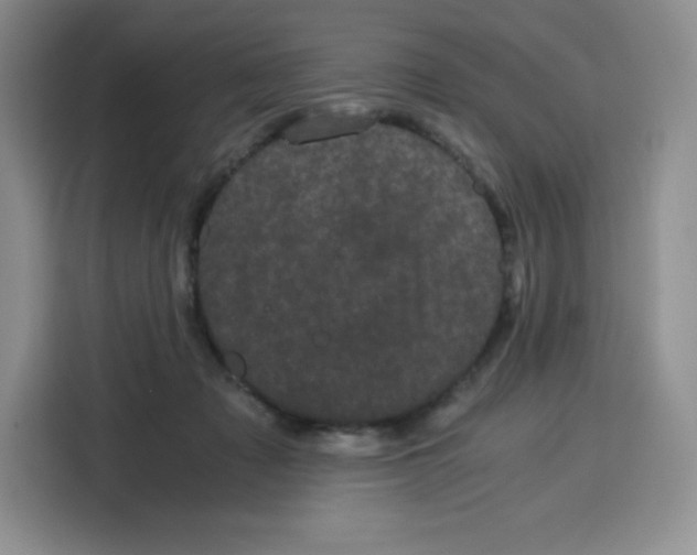 X0000115080317200911241147