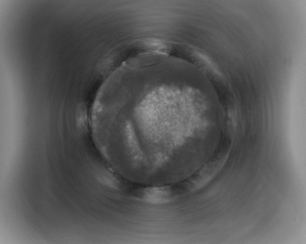 X0000115080320200911241147