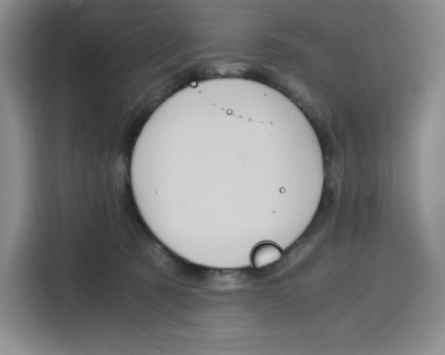 X0000115080321200911241147