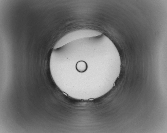 X0000115080323200911241147