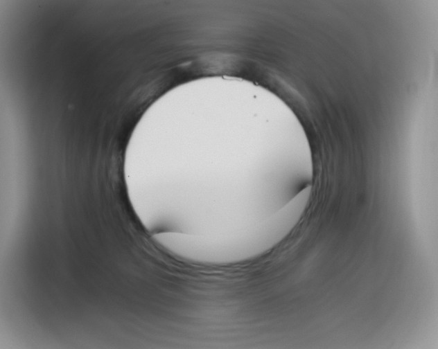 X0000115080325200911241147