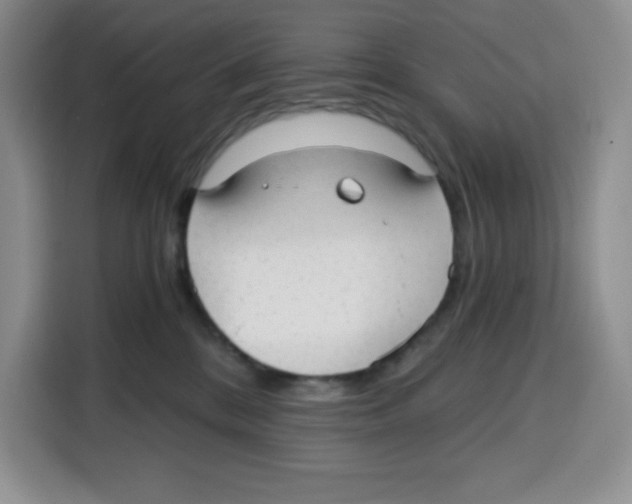 X0000115080328200911241147