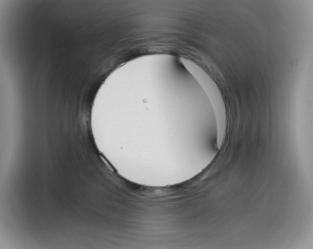 X0000115080329200911241147