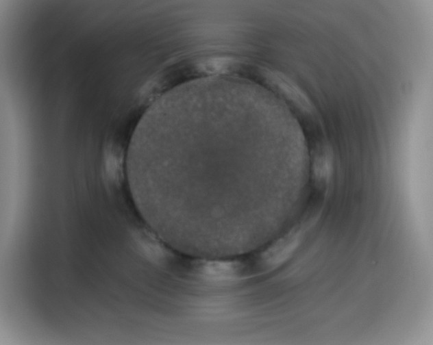 X0000115080332200911241147