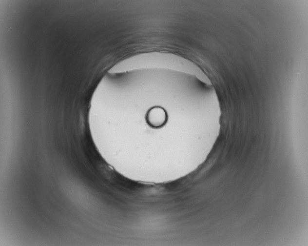 X0000115080333200911241147