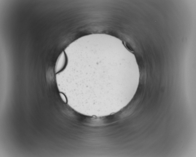 X0000115080335200911241147