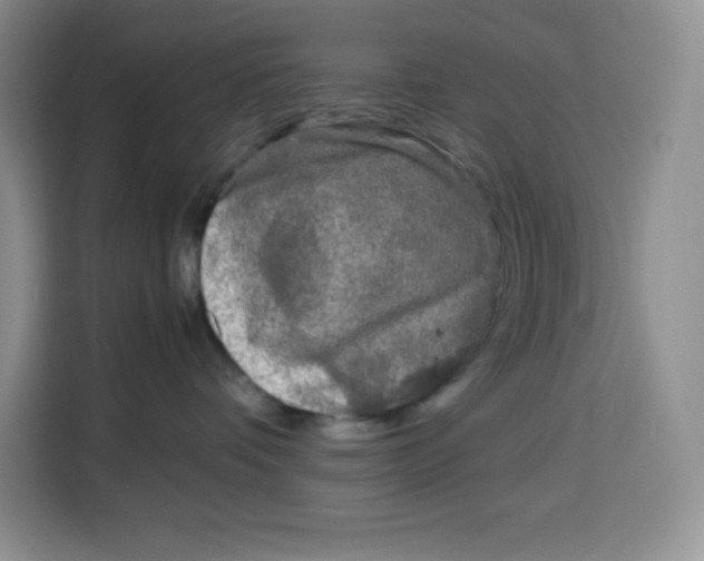 X0000115080336200911241147