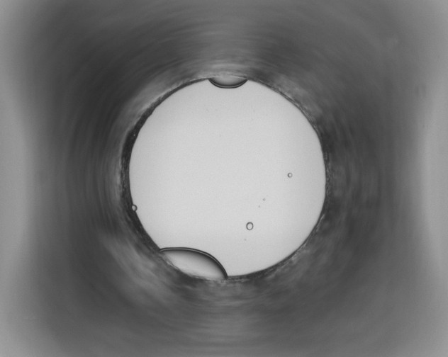 X0000115080338200911241146