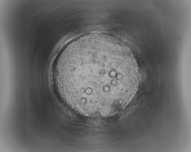 X0000115080339200911241146