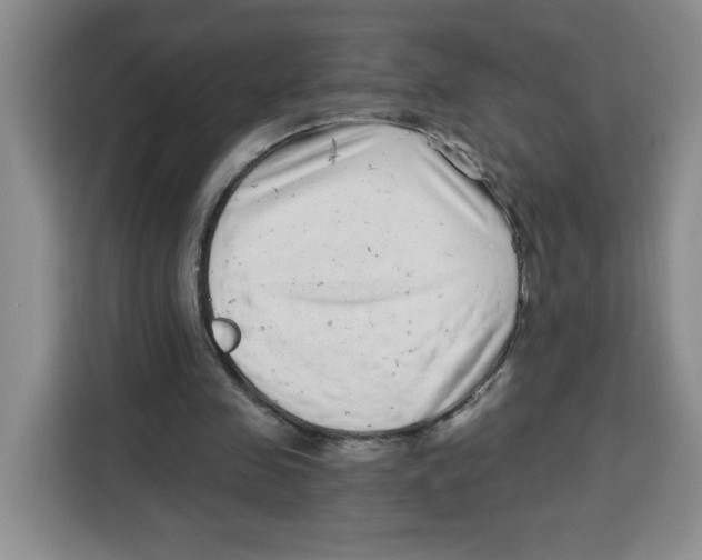 X0000115080341200911241146