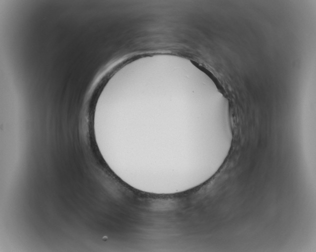 X0000115080342200911241146